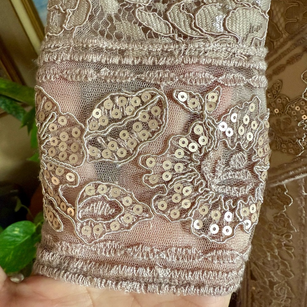 NWT Elegant Tadashi Shoji Tatiana Sequin Lace Gown in Beige/Champage Size 4 - Picture 4 of 10
